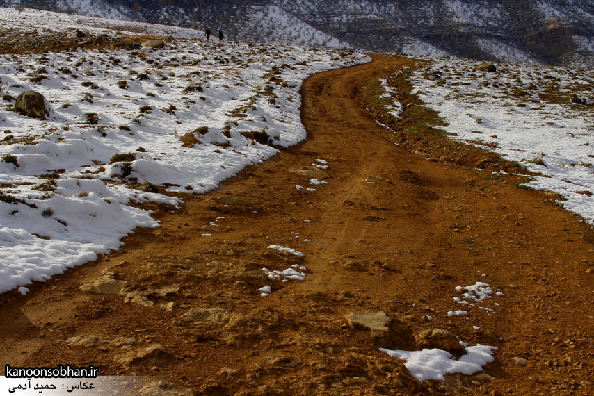 تصاویراولین برف زمستانی کوهدشت در بهمن 94 (10)