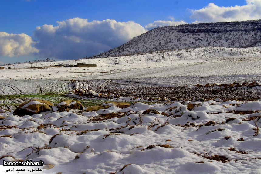 تصاویراولین برف زمستانی کوهدشت در بهمن 94 (11)