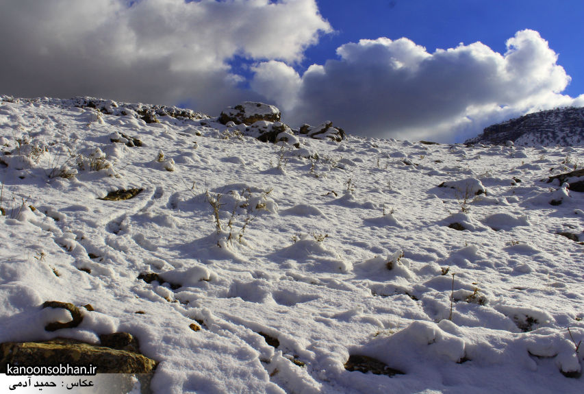 تصاویراولین برف زمستانی کوهدشت در بهمن 94 (12)