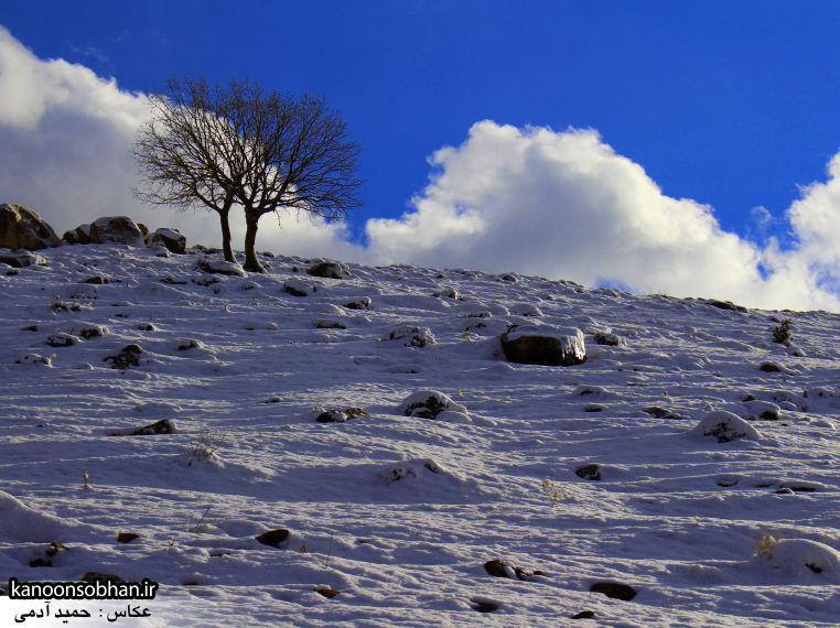 تصاویراولین برف زمستانی کوهدشت در بهمن 94 (15)
