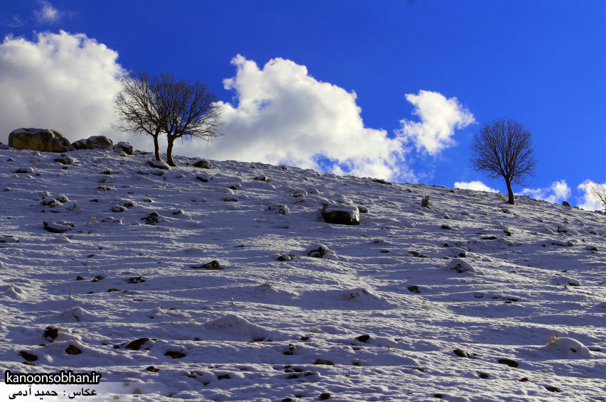 تصاویراولین برف زمستانی کوهدشت در بهمن 94 (17)
