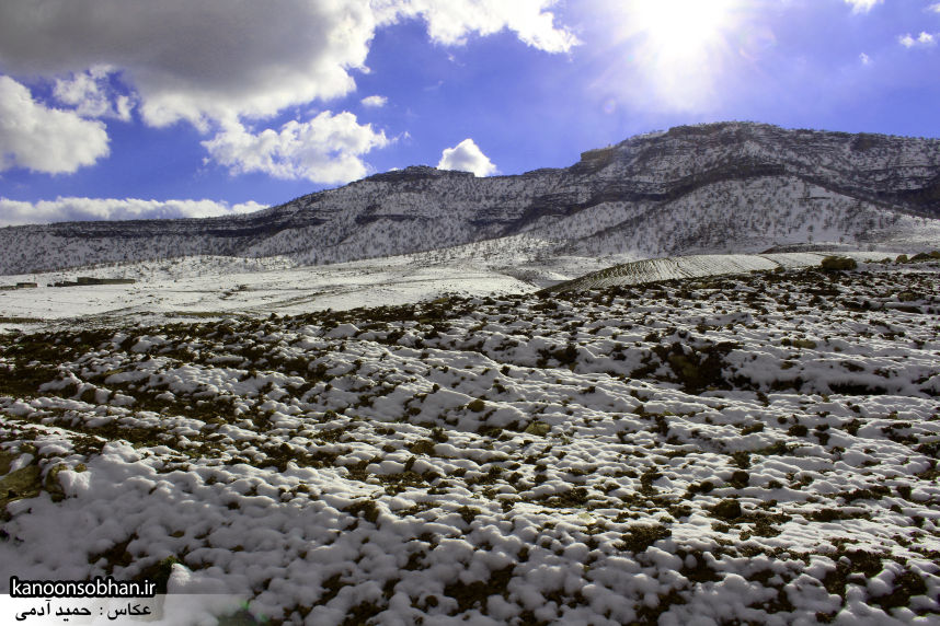 تصاویراولین برف زمستانی کوهدشت در بهمن 94 (9)