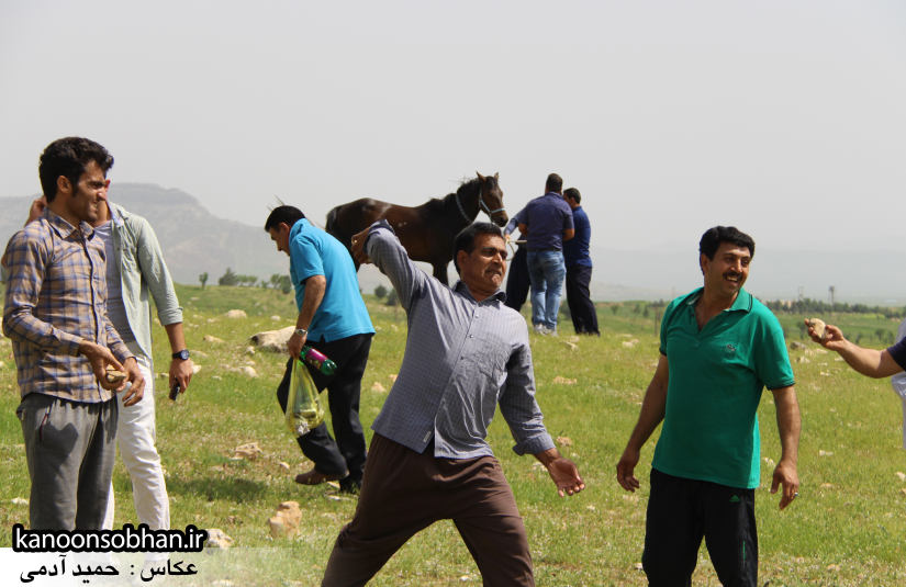 تصاویر جشنواره بازي هاي بومي و محلي کوهدشت (33)