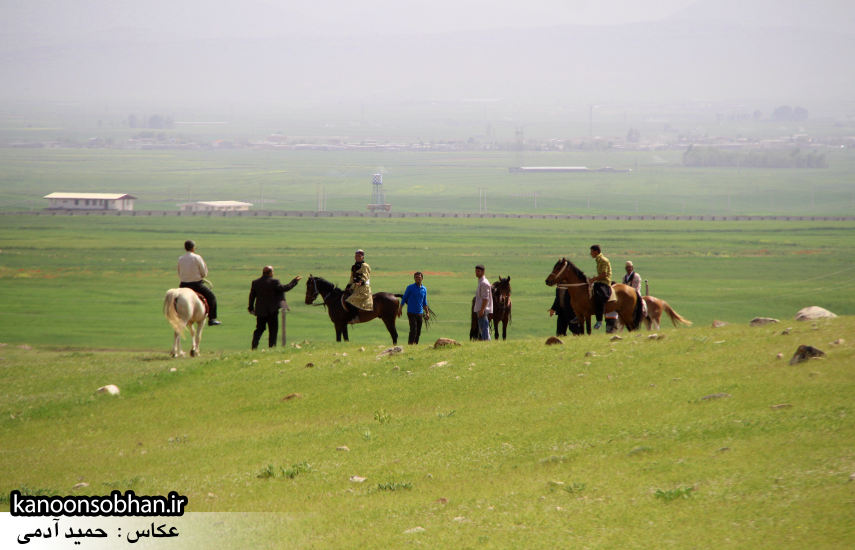 تصاویر جشنواره بازي هاي بومي و محلي کوهدشت (45)