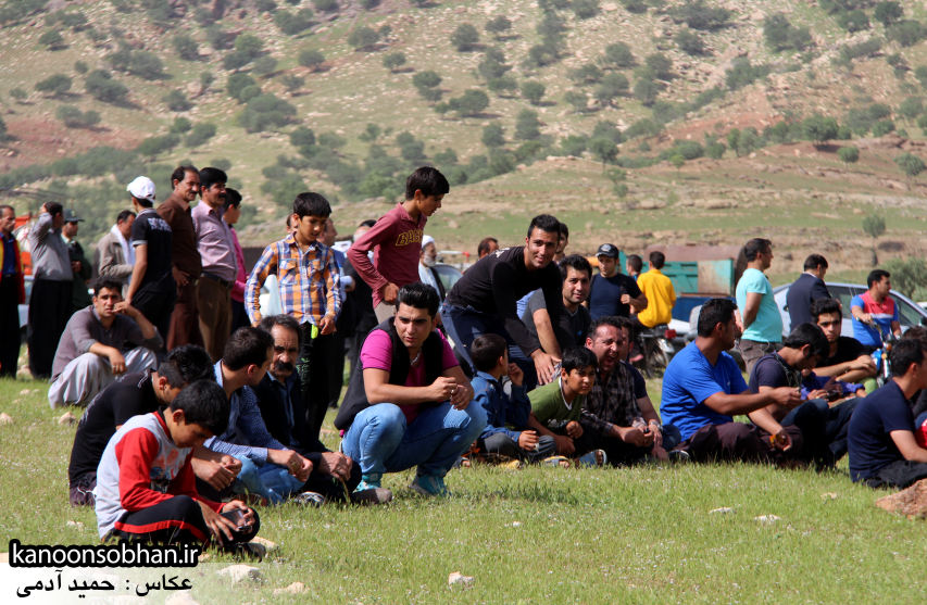 تصاویر جشنواره بازي هاي بومي و محلي کوهدشت (46)