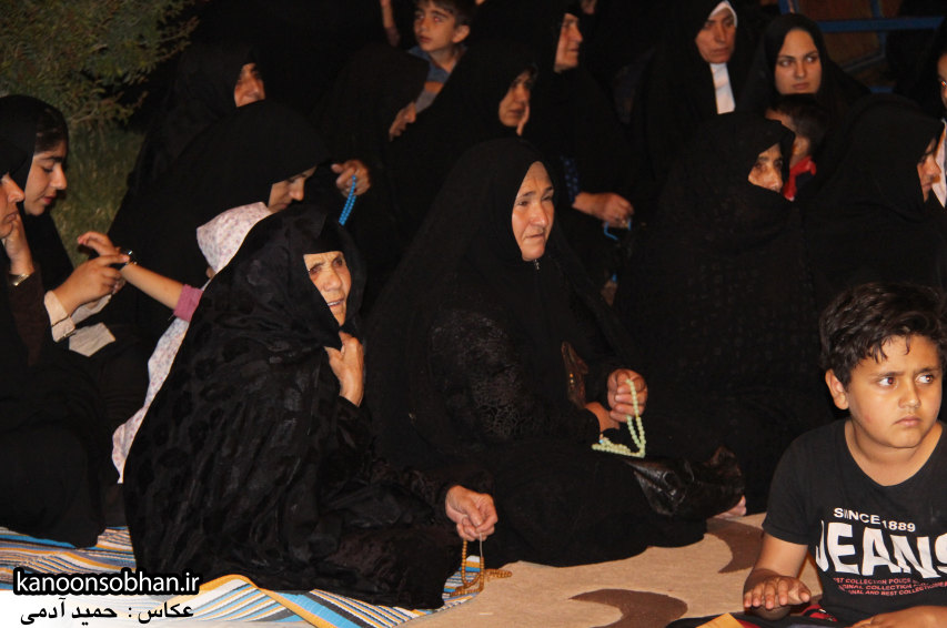 تصاویر جشن میلاد امام حسن مجتبی(علیه السلام) در پارک مهرگان کوهدشت (8)